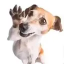 @piggypieoink