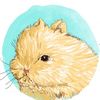 fluffybunnyorlando