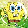bobisnotthesponge