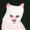 .anguish_