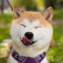 @mochi_noms_
