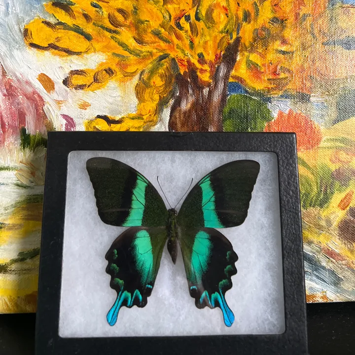 smartart369