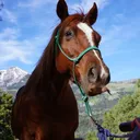 @coloradooutfitter