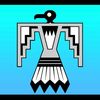 thunderbirdestatesales