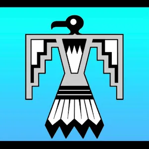 thunderbirdestatesales