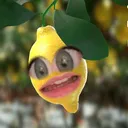 @talkinglemonrry