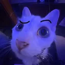 @_messyoongi_