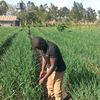 agriirrigation_solutions