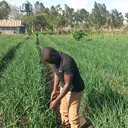 @agriirrigation_solutions