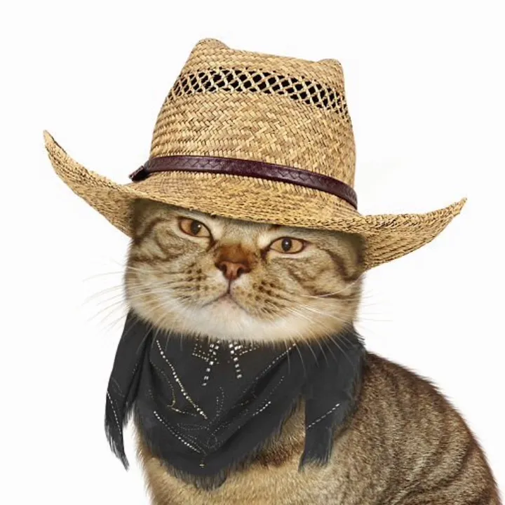 jackolampton