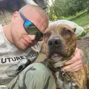 @pitbulltiger