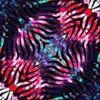 fractal.illusionist