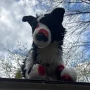 @pepsikittey