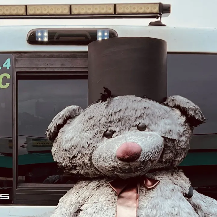 bearyfast6.4