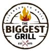 thebiggestgrill