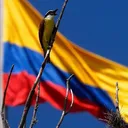 @libre_oposicion