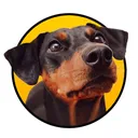@alvathehotdog