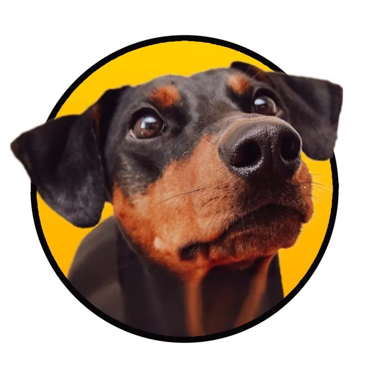 alvathehotdog