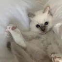 @sasha.blossoms