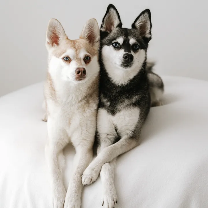 @lifewithkleekai