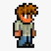 the_guide_terraria
