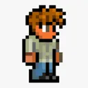 @the_guide_terraria