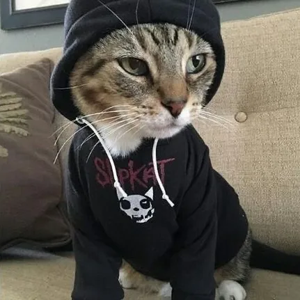 blkdxhlia777
