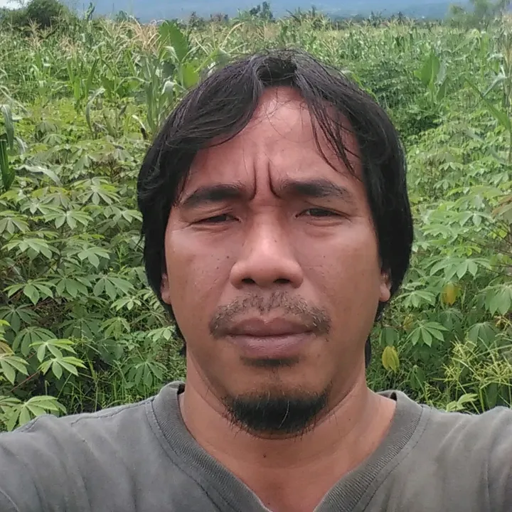 masandri269