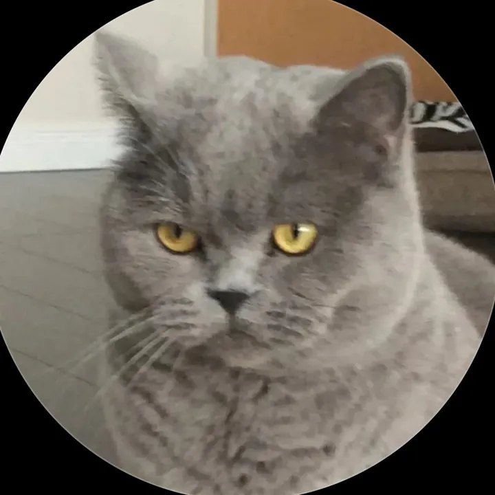 cjcatznahfs