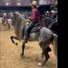 yahirtorres6781