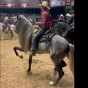 @yahirtorres6781
