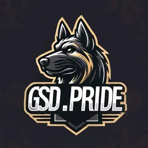 gsd_max_2022