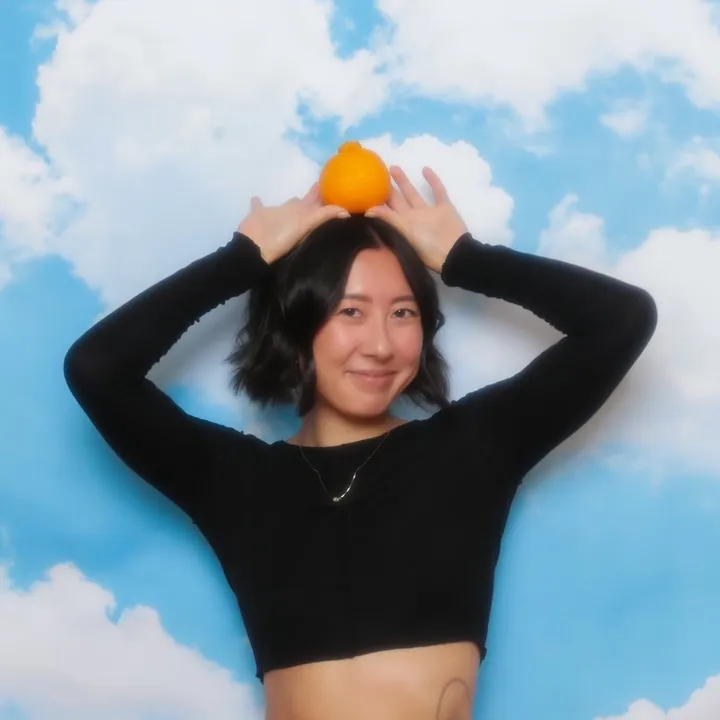 anisainside