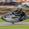 duhtuna675rawr