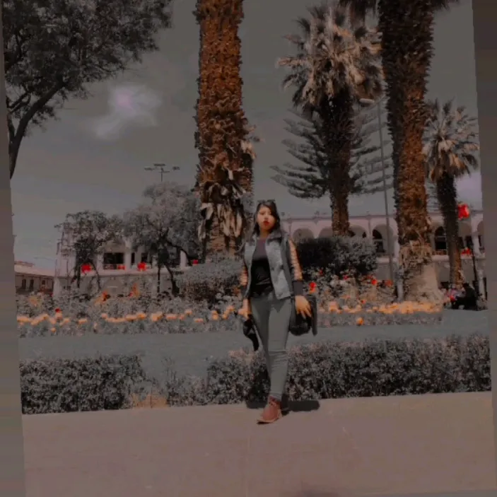 alinaluna.21