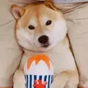 @sunny30278