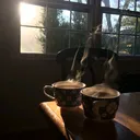 @mindsetmusclebuil