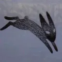@theplaguebeetle