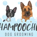 @shampoochesmiddlesbrough
