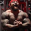 gorillaxquinn