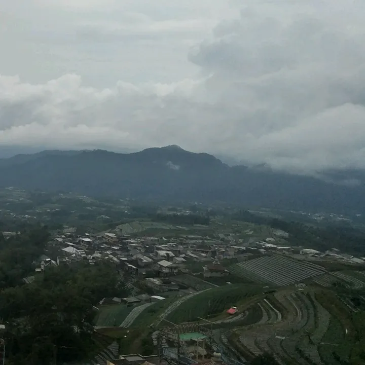 sektorsejuk