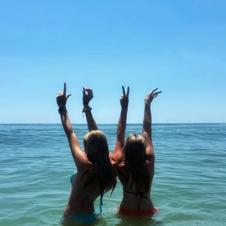 rachsnyderspam