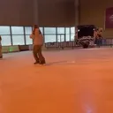 @inyzialy
