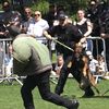 alliance_armed_policing