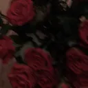 @vrwlxds