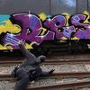 brez.17