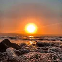 @globalnewsbroker