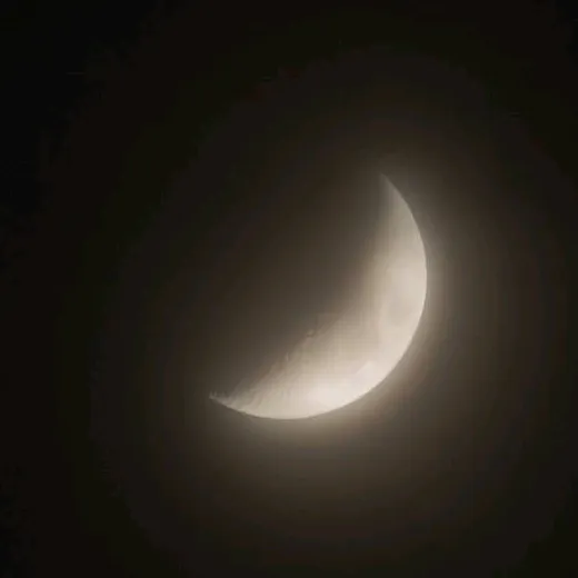 @jeonvdxds