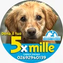 @leidaa_italia