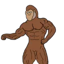 @gympanzeee